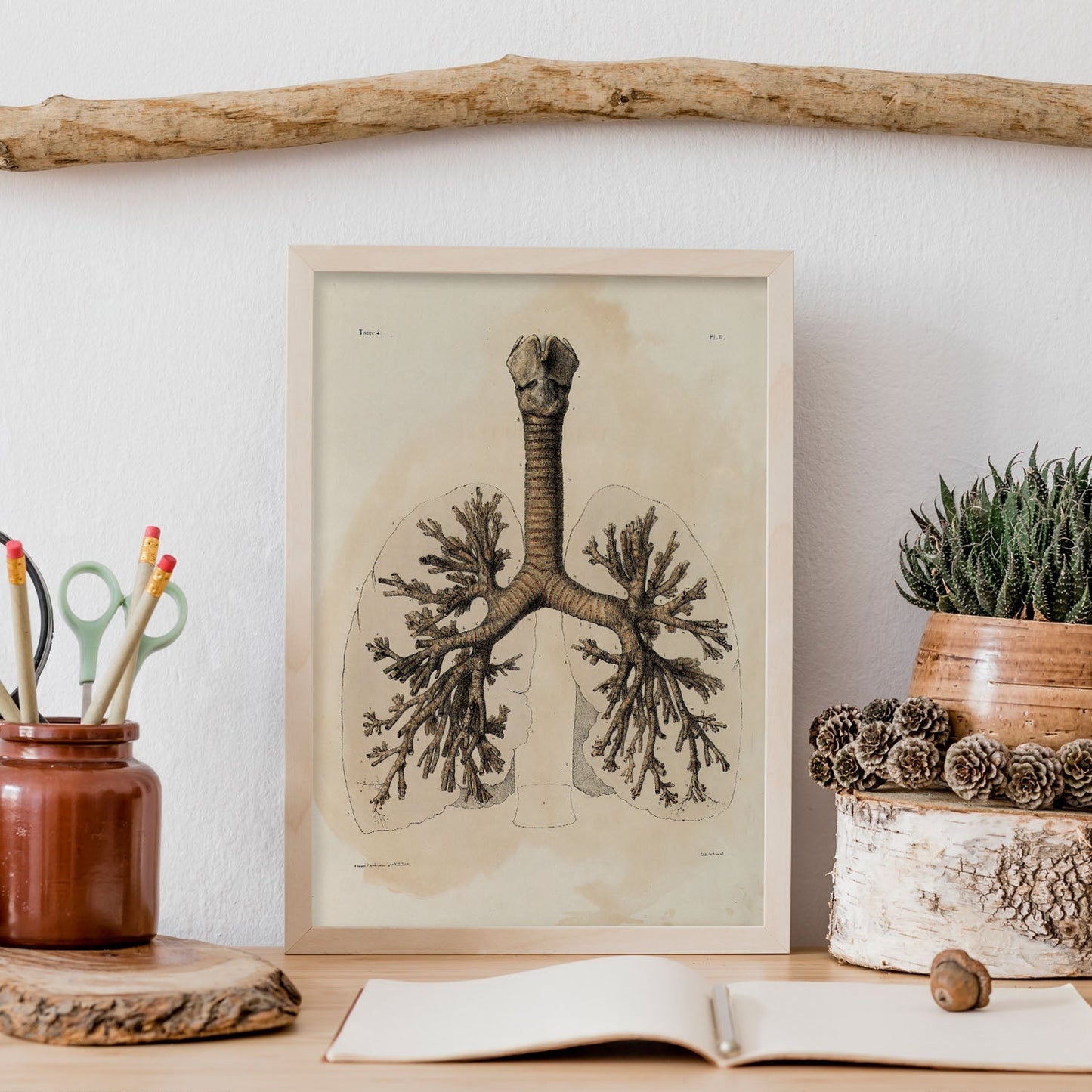 Bronchi, trachea, laryngeal cartilages-Artwork-Nacnic-Nacnic Estudio SL