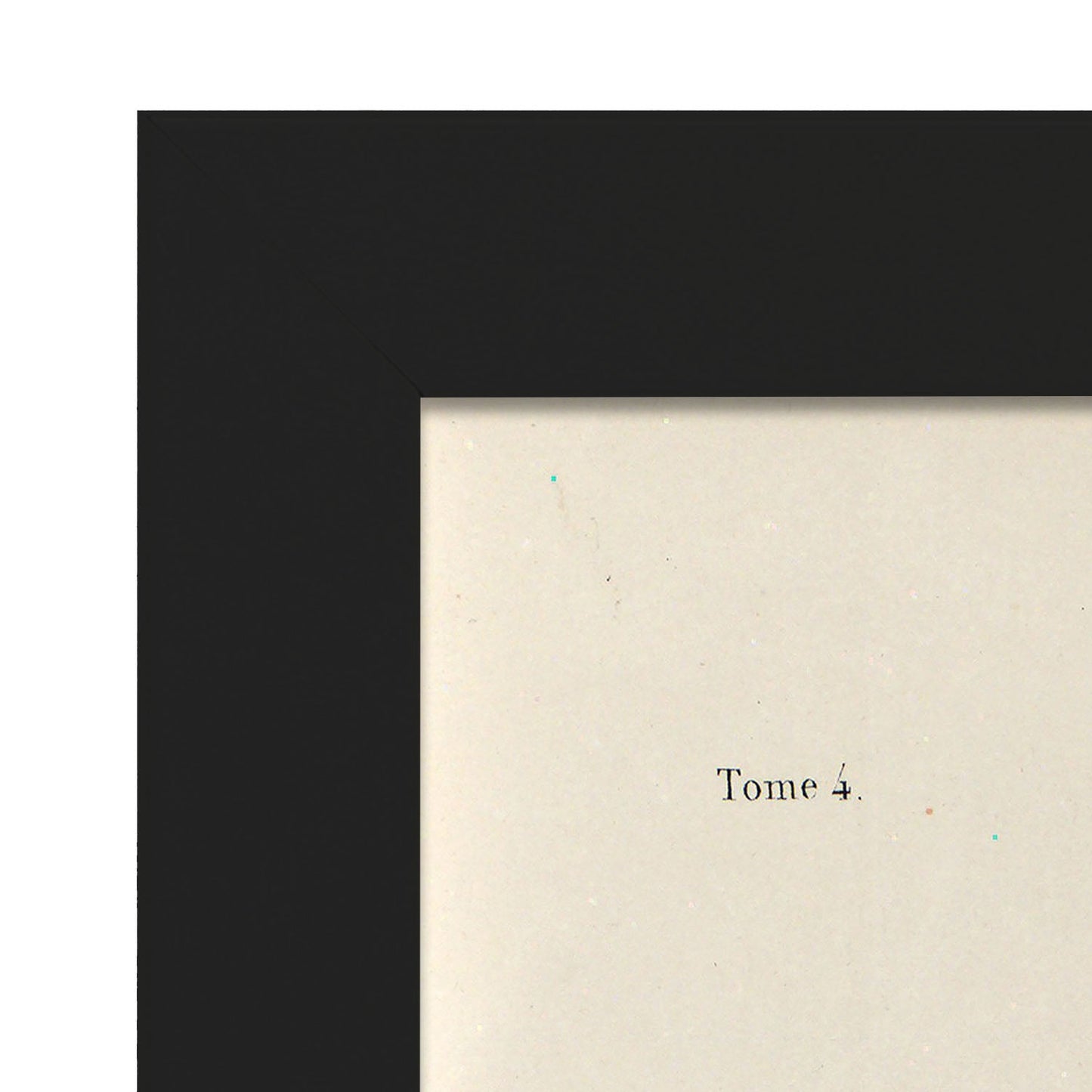 Bronchi, trachea, laryngeal cartilages-Artwork-Nacnic-Nacnic Estudio SL