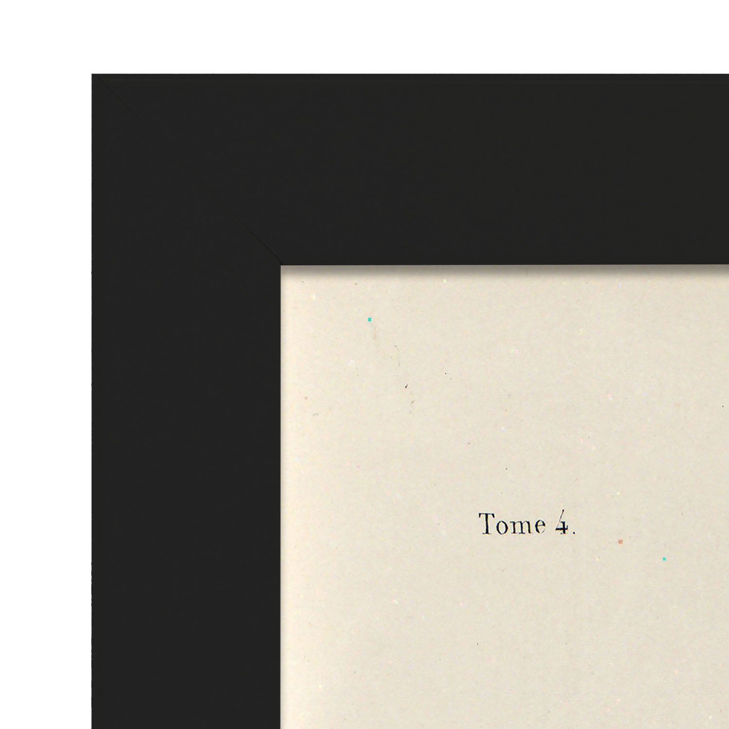 Bronchi, trachea, laryngeal cartilages-Artwork-Nacnic-Nacnic Estudio SL