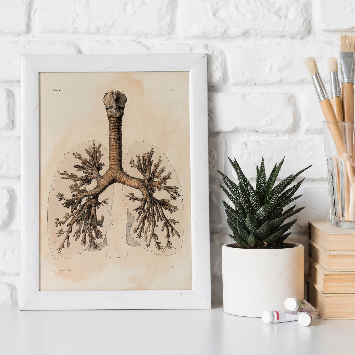 Bronchi, trachea, laryngeal cartilages-Artwork-Nacnic-Nacnic Estudio SL