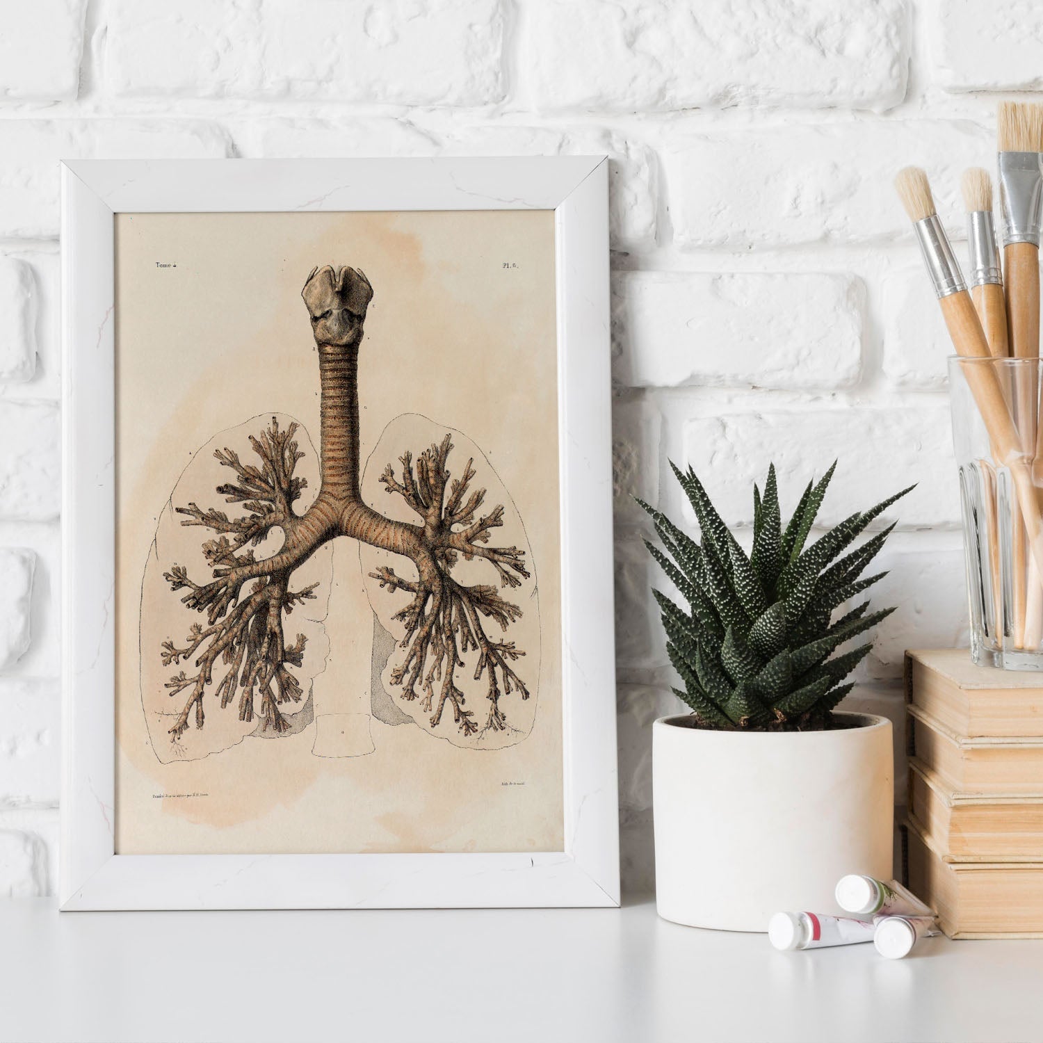 Bronchi, trachea, laryngeal cartilages-Artwork-Nacnic-Nacnic Estudio SL