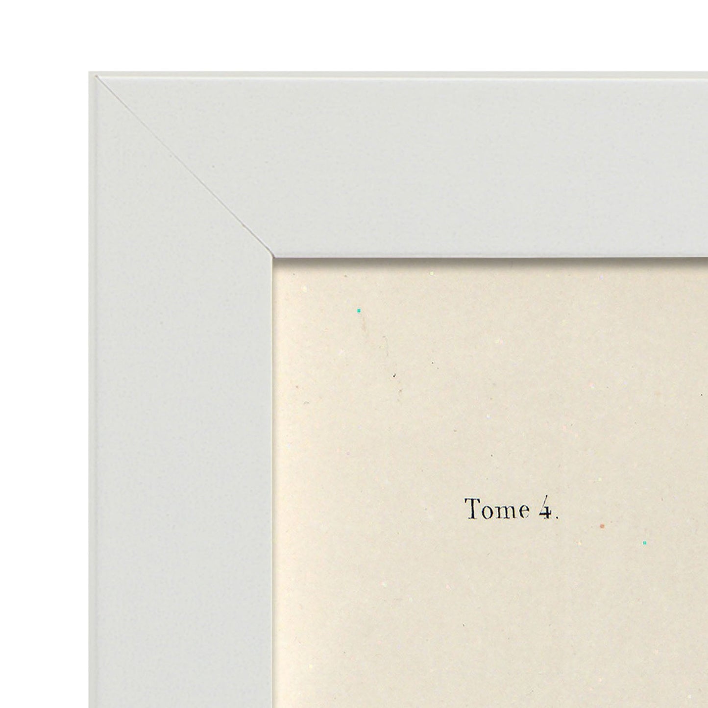 Bronchi, trachea, laryngeal cartilages-Artwork-Nacnic-Nacnic Estudio SL