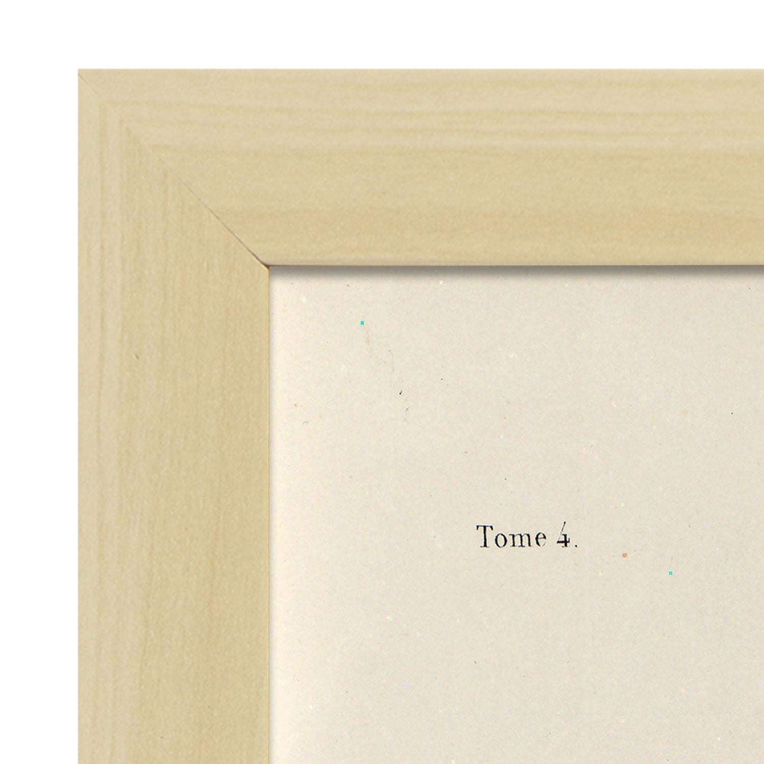 Bronchi, trachea, laryngeal cartilages-Artwork-Nacnic-Nacnic Estudio SL