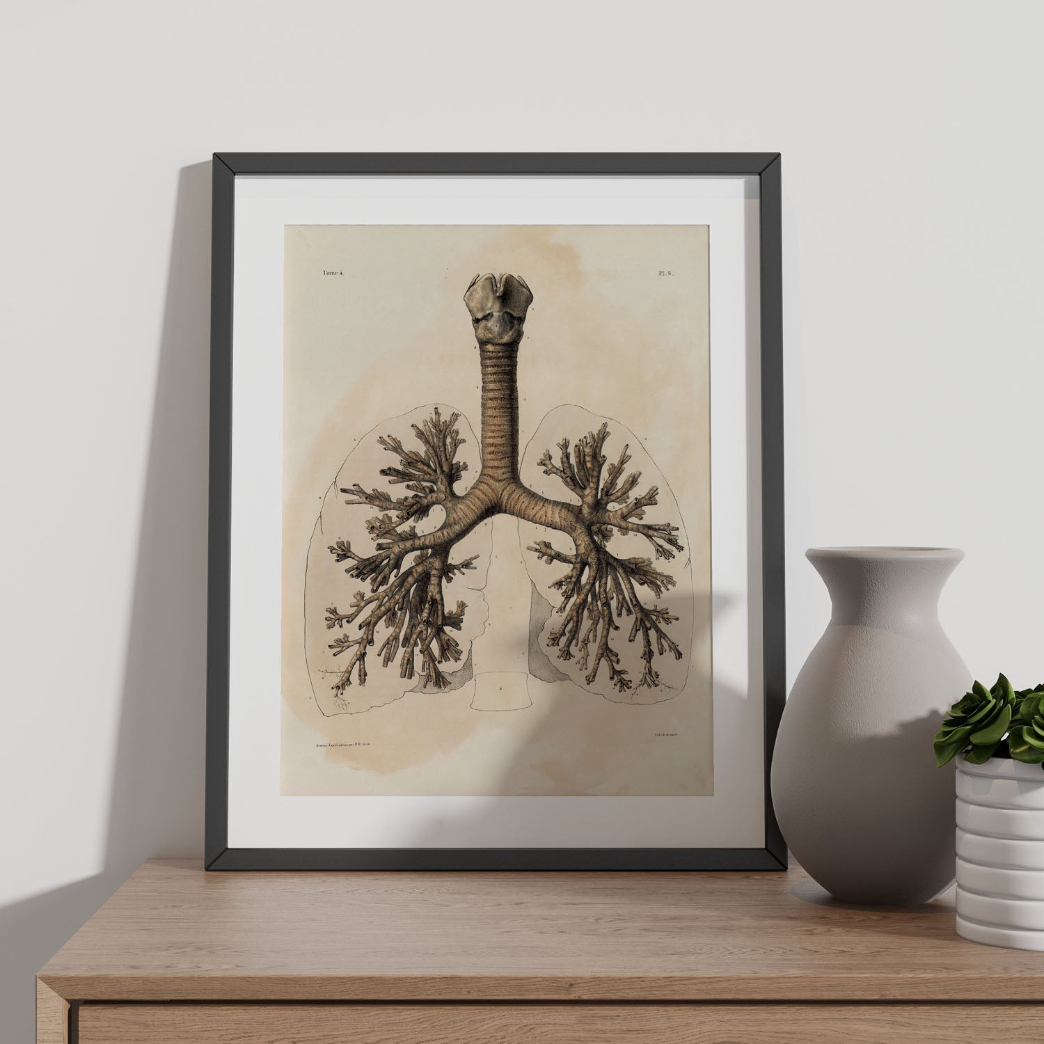 Bronchi, trachea, laryngeal cartilages-Artwork-Nacnic-Nacnic Estudio SL