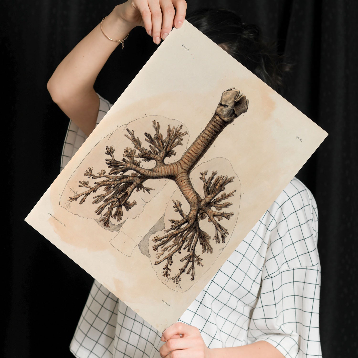 Bronchi, trachea, laryngeal cartilages-Artwork-Nacnic-Nacnic Estudio SL