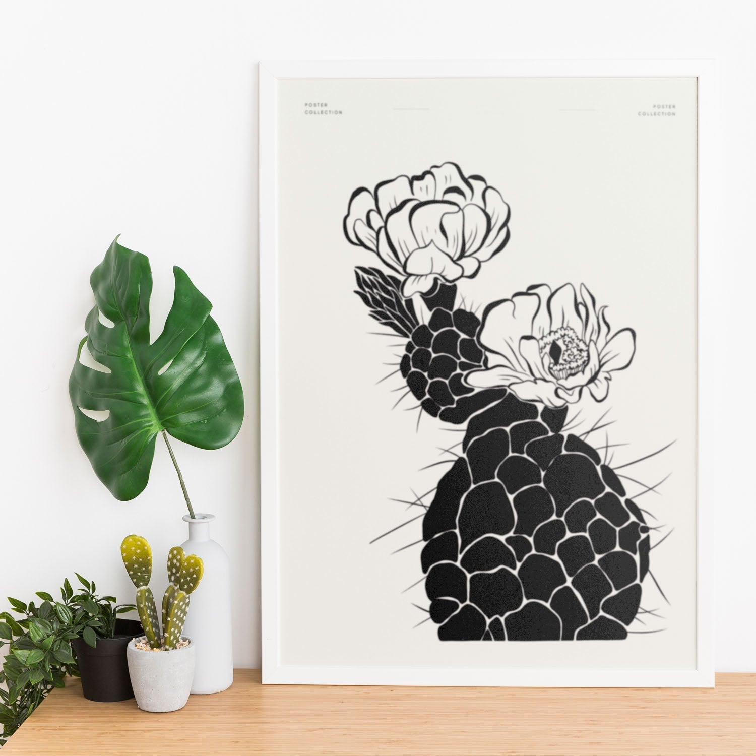 Cactus-Artwork-Nacnic-Nacnic Estudio SL