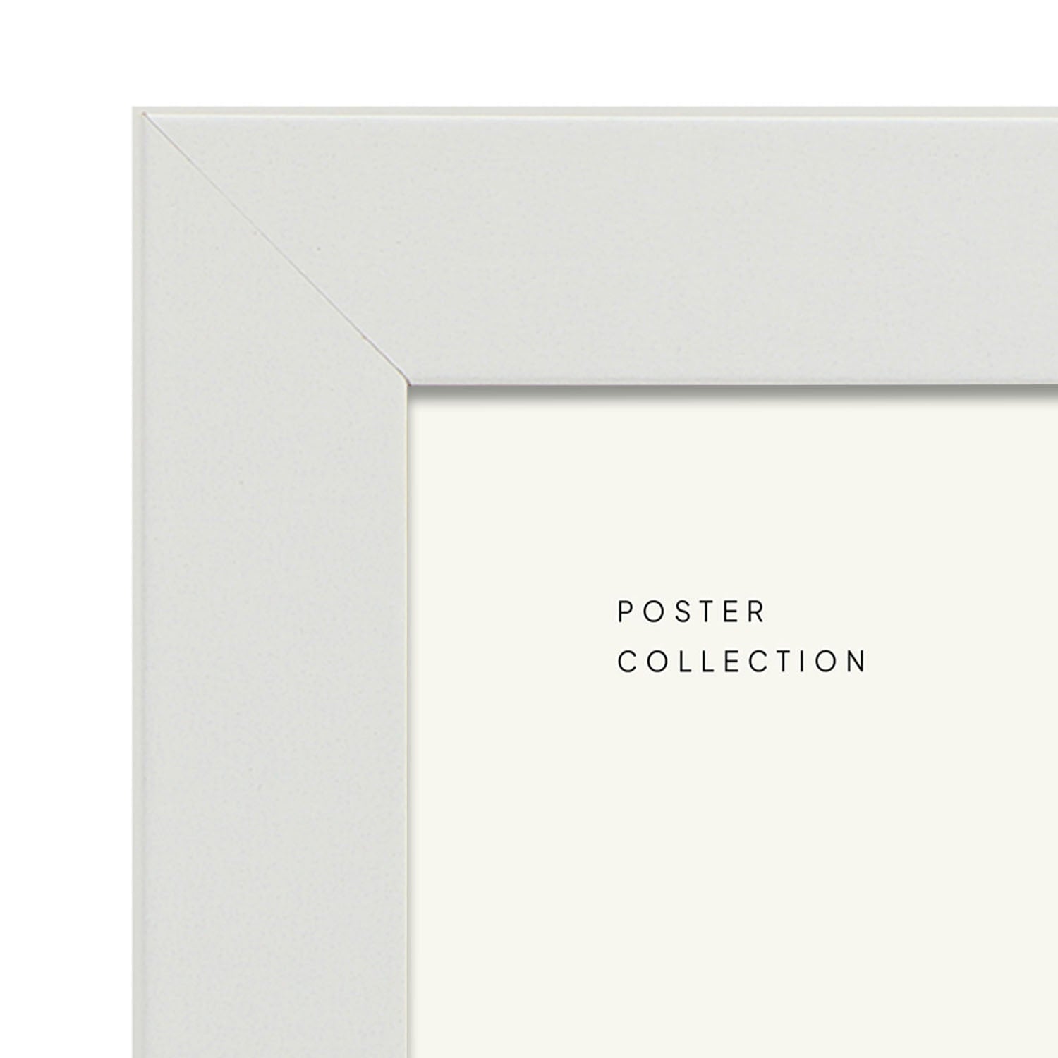 Cactus-Artwork-Nacnic-Nacnic Estudio SL