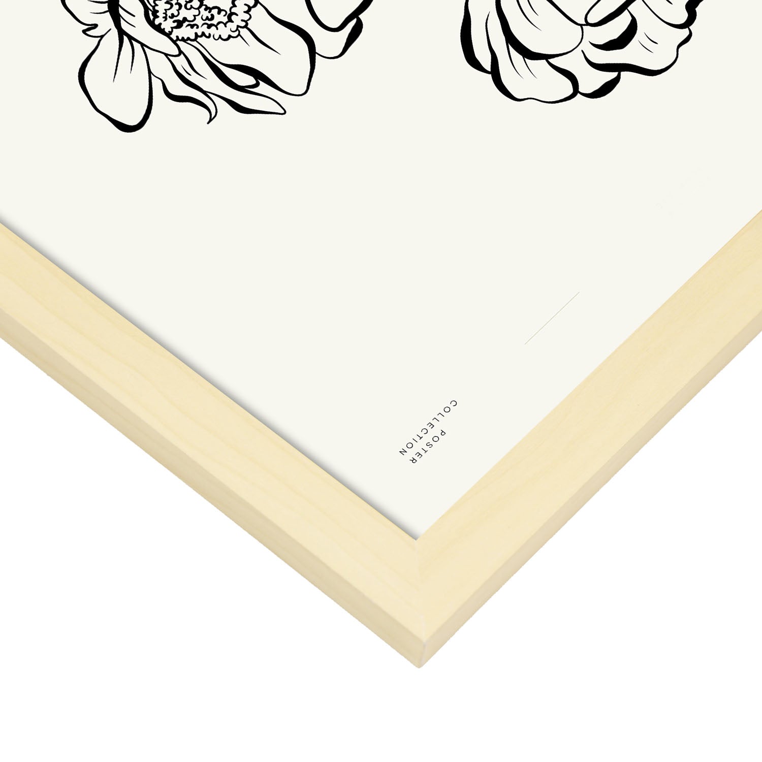 Cactus-Artwork-Nacnic-Nacnic Estudio SL