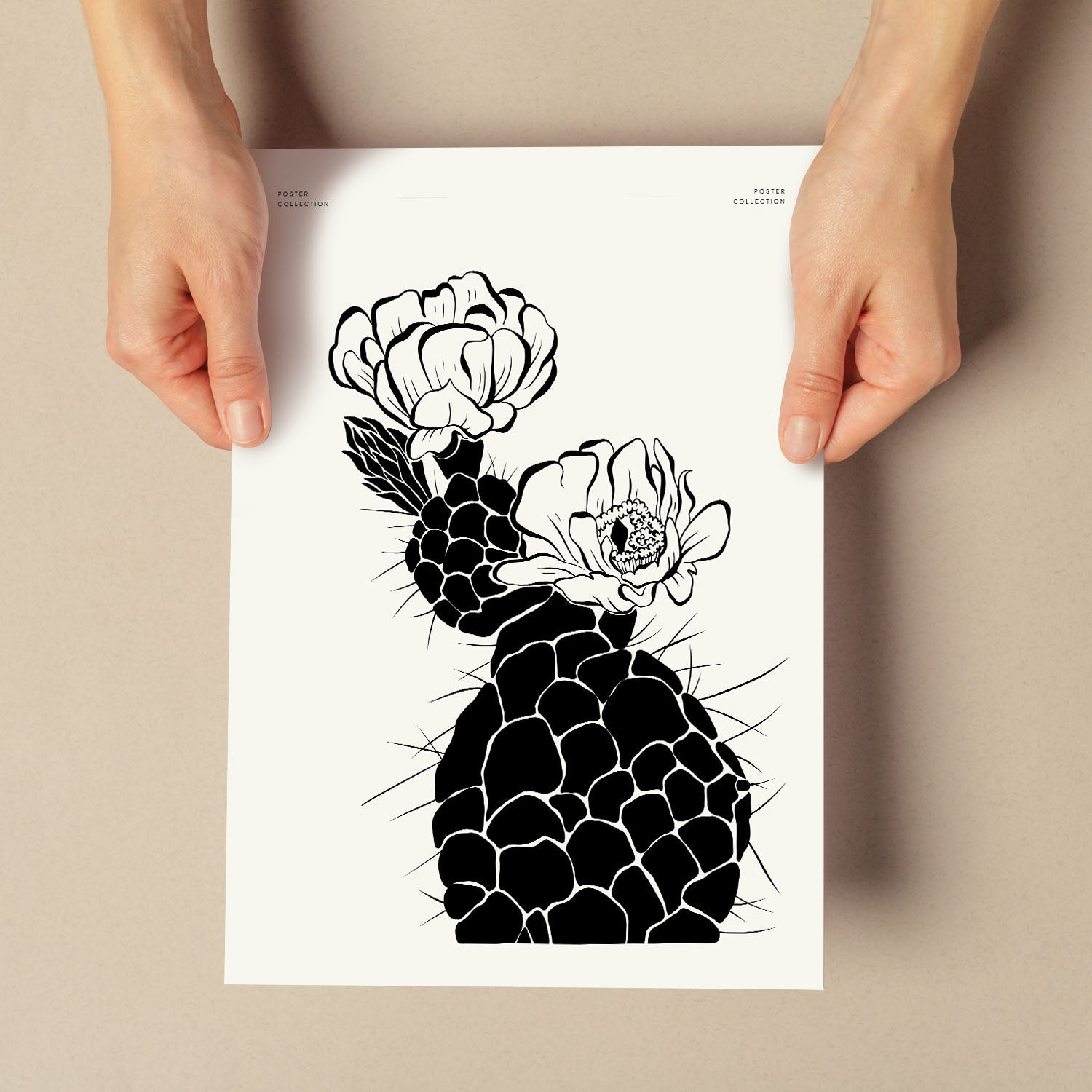 Cactus-Artwork-Nacnic-Nacnic Estudio SL