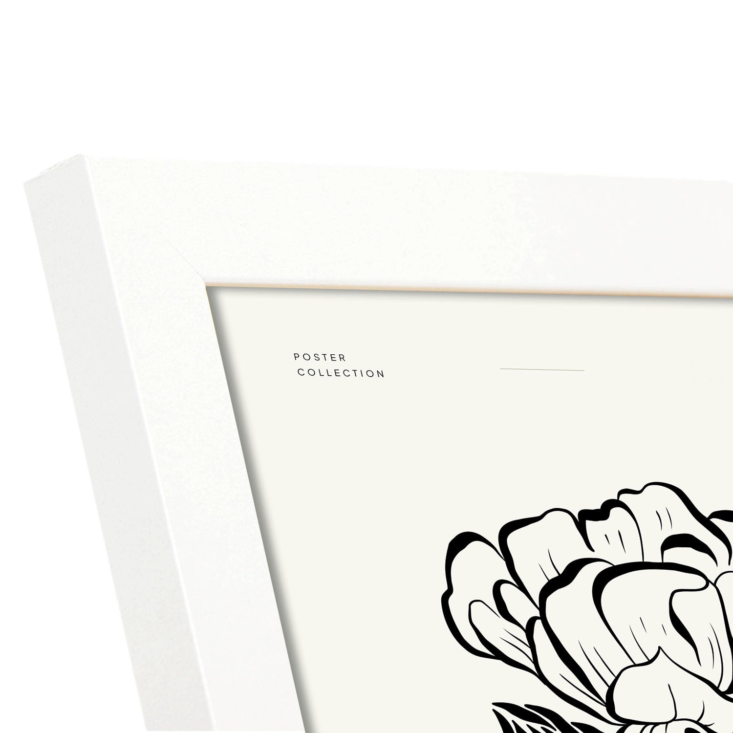 Cactus-Artwork-Nacnic-Nacnic Estudio SL