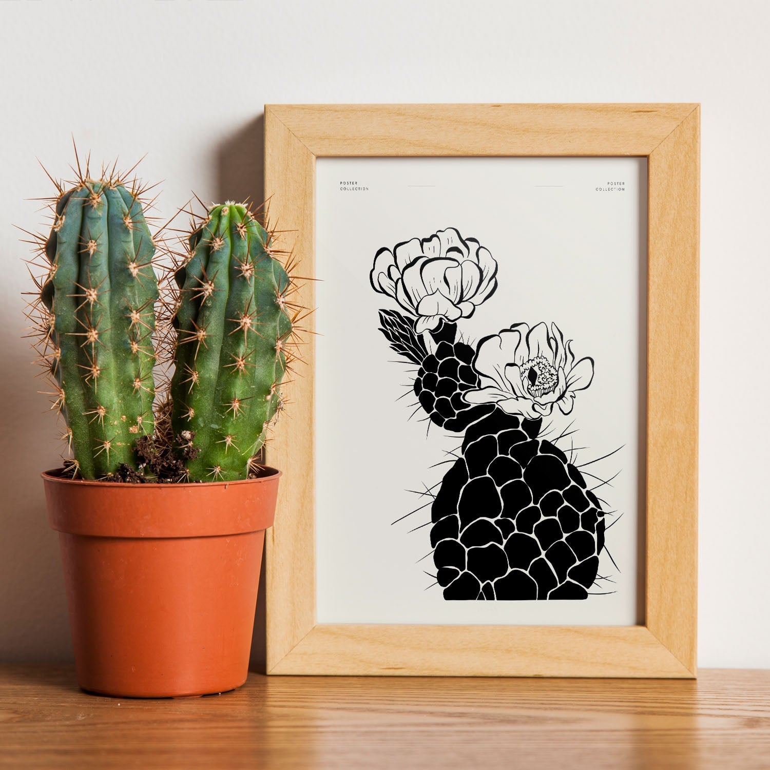 Cactus-Artwork-Nacnic-Nacnic Estudio SL