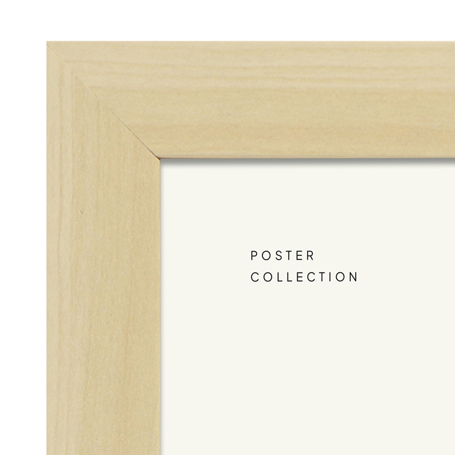 Cactus-Artwork-Nacnic-Nacnic Estudio SL