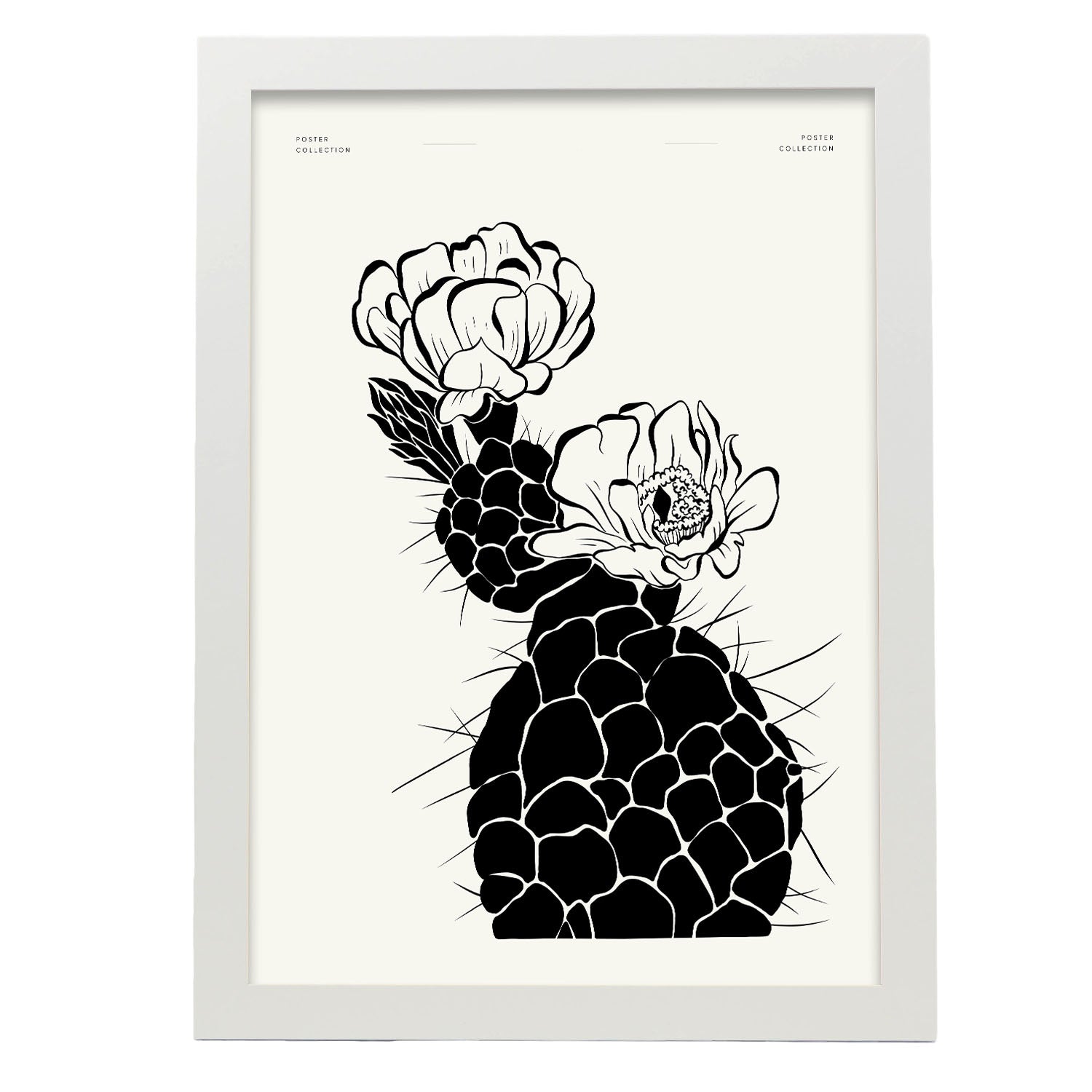 Cactus-Artwork-Nacnic-A3-Marco Blanco-Nacnic Estudio SL