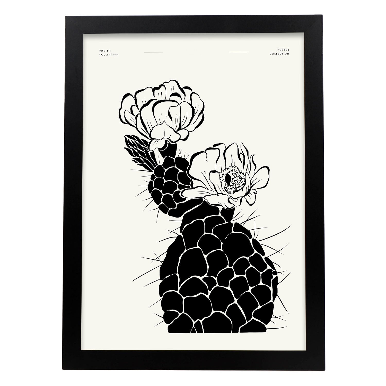 Cactus-Artwork-Nacnic-A3-Sin marco-Nacnic Estudio SL