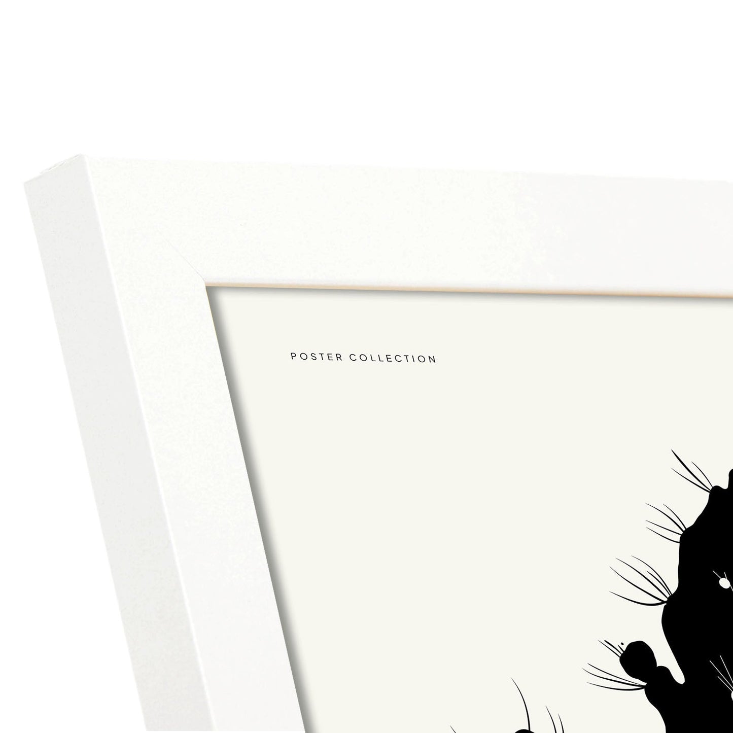 Cactus Flower-Artwork-Nacnic-Nacnic Estudio SL