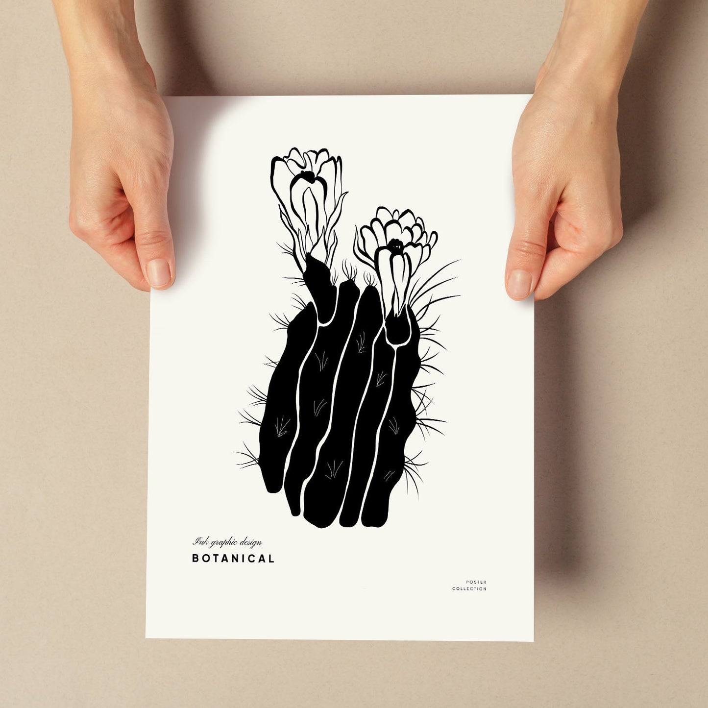 Cactus Flowers-Artwork-Nacnic-Nacnic Estudio SL
