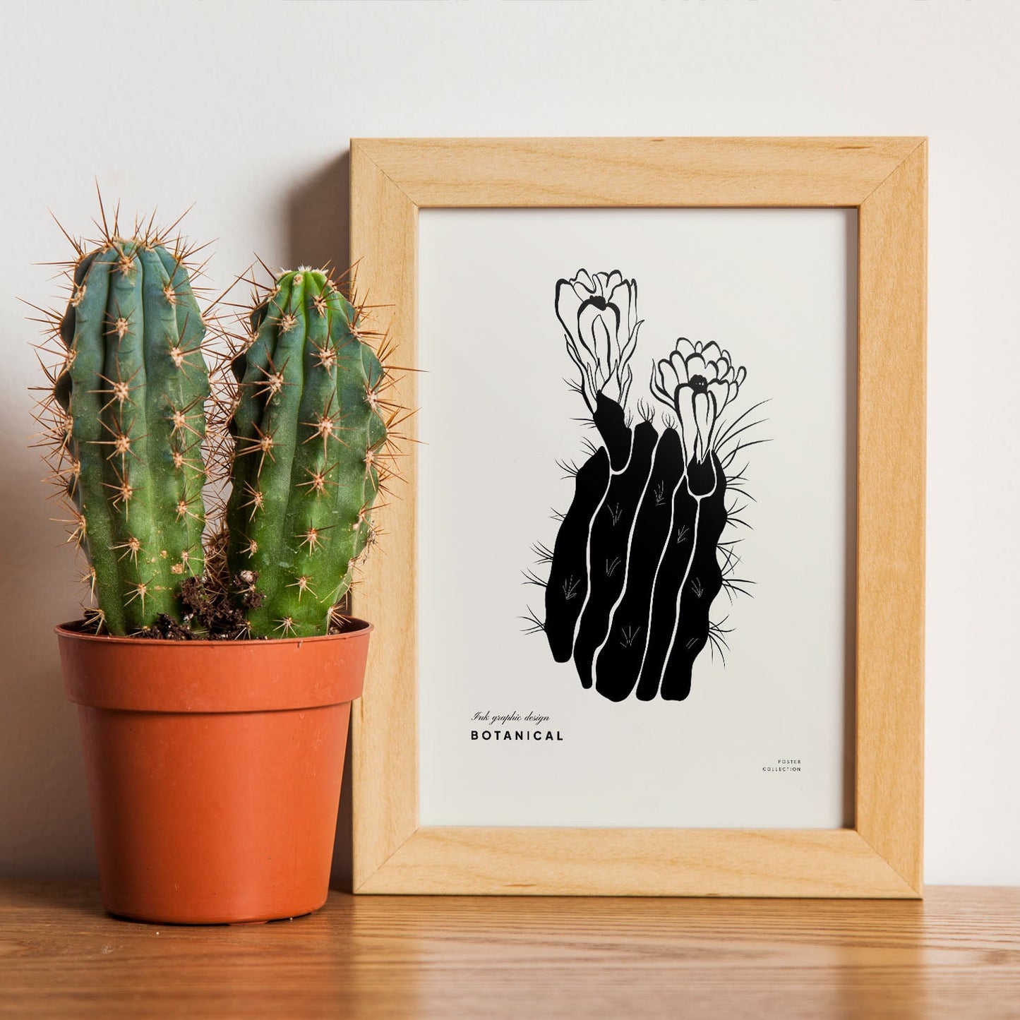 Cactus Flowers-Artwork-Nacnic-Nacnic Estudio SL