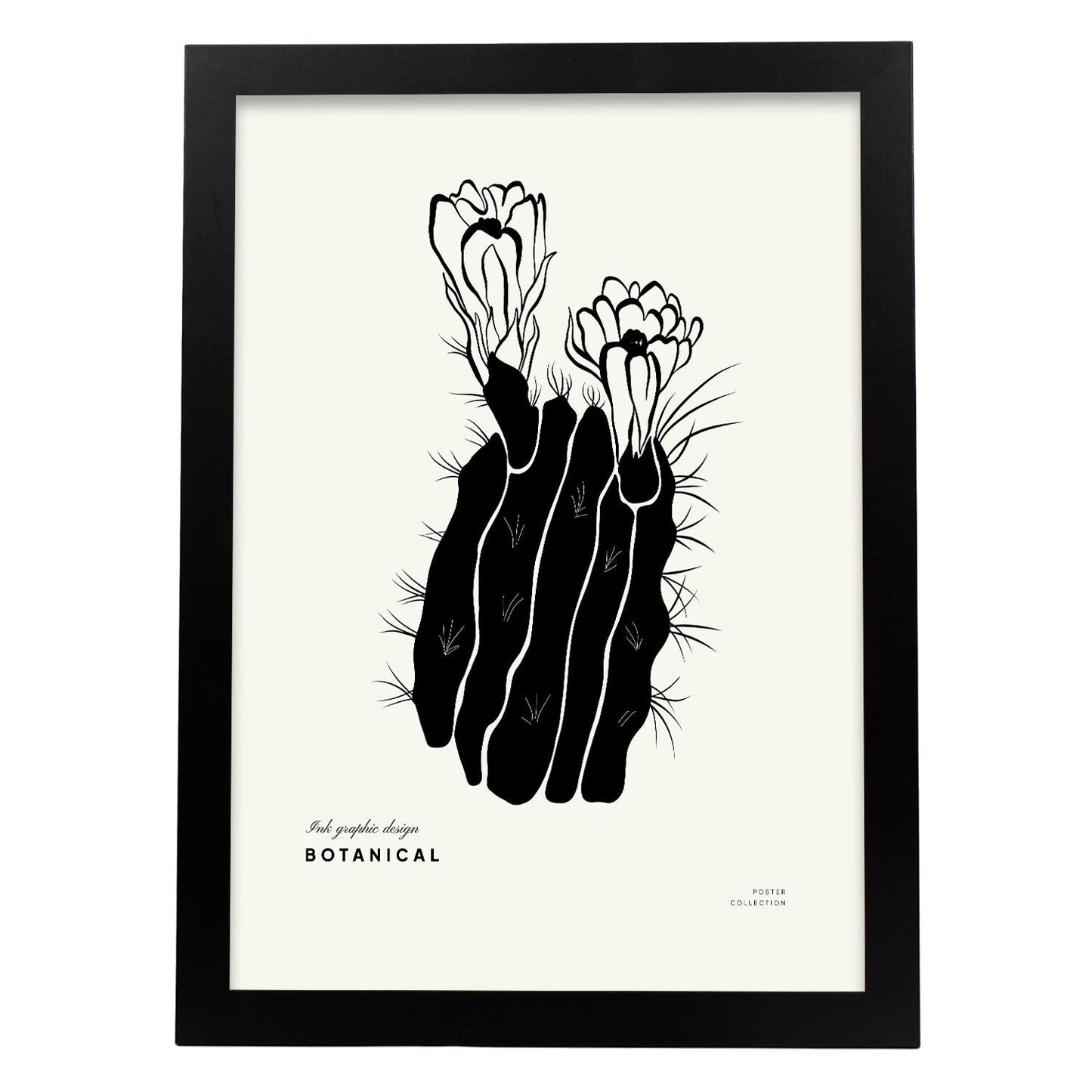 Cactus Flowers-Artwork-Nacnic-A3-Sin marco-Nacnic Estudio SL