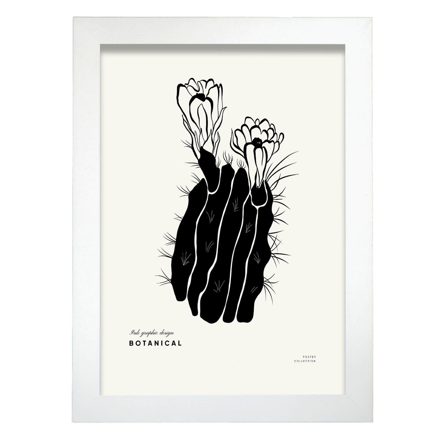 Cactus Flowers-Artwork-Nacnic-A4-Marco Blanco-Nacnic Estudio SL