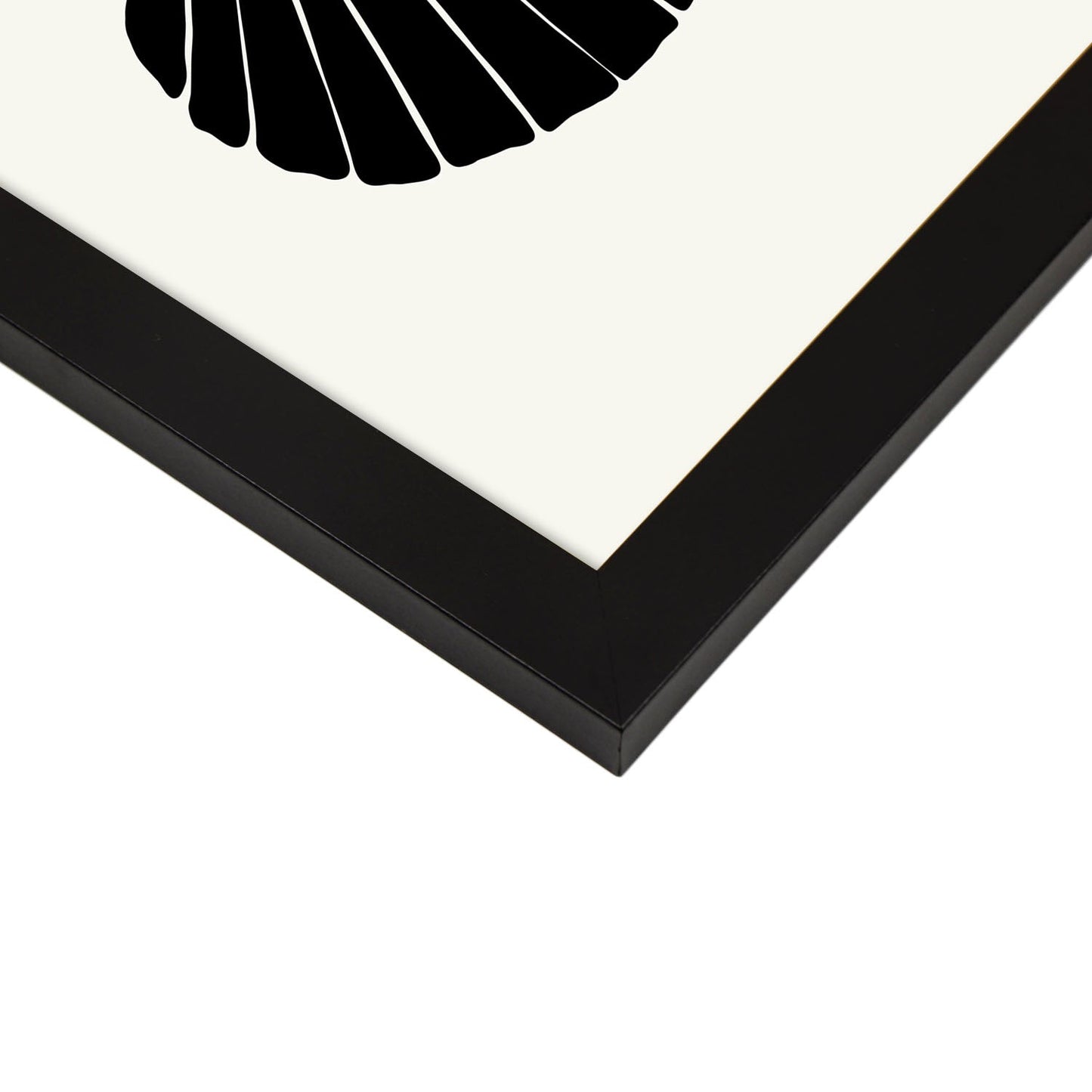Calico Scallops-Artwork-Nacnic-Nacnic Estudio SL