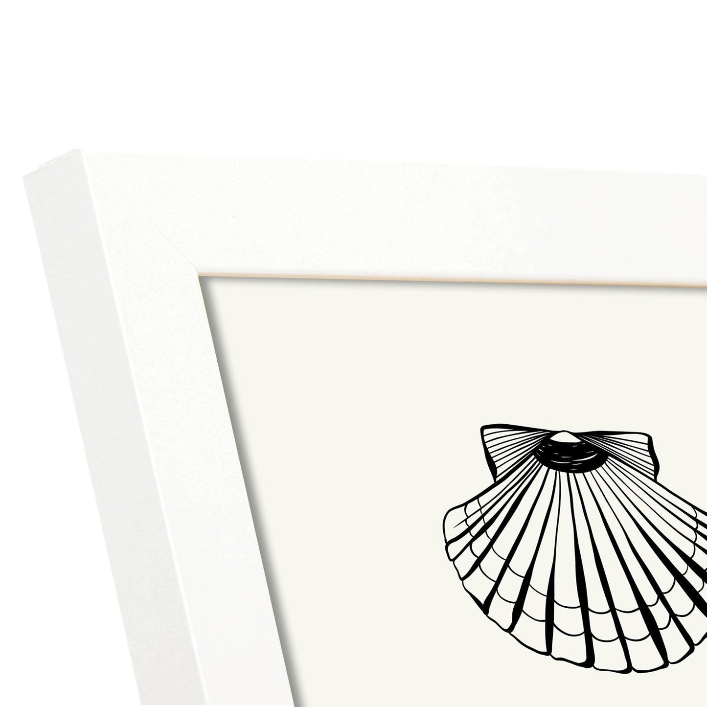 Calico Scallops-Artwork-Nacnic-Nacnic Estudio SL