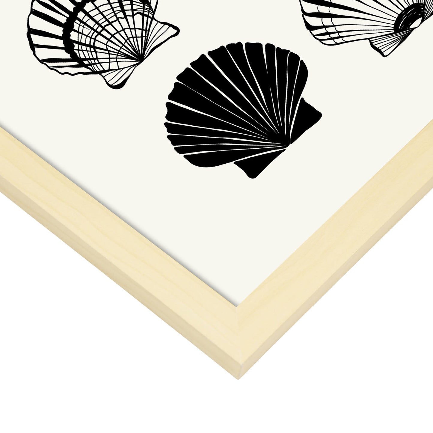 Calico Scallops-Artwork-Nacnic-Nacnic Estudio SL