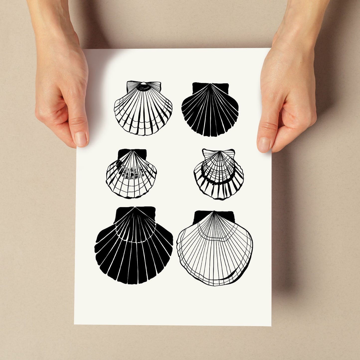 Calico Scallops-Artwork-Nacnic-Nacnic Estudio SL