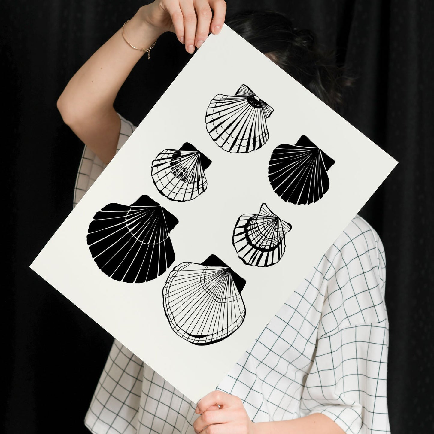 Calico Scallops-Artwork-Nacnic-Nacnic Estudio SL
