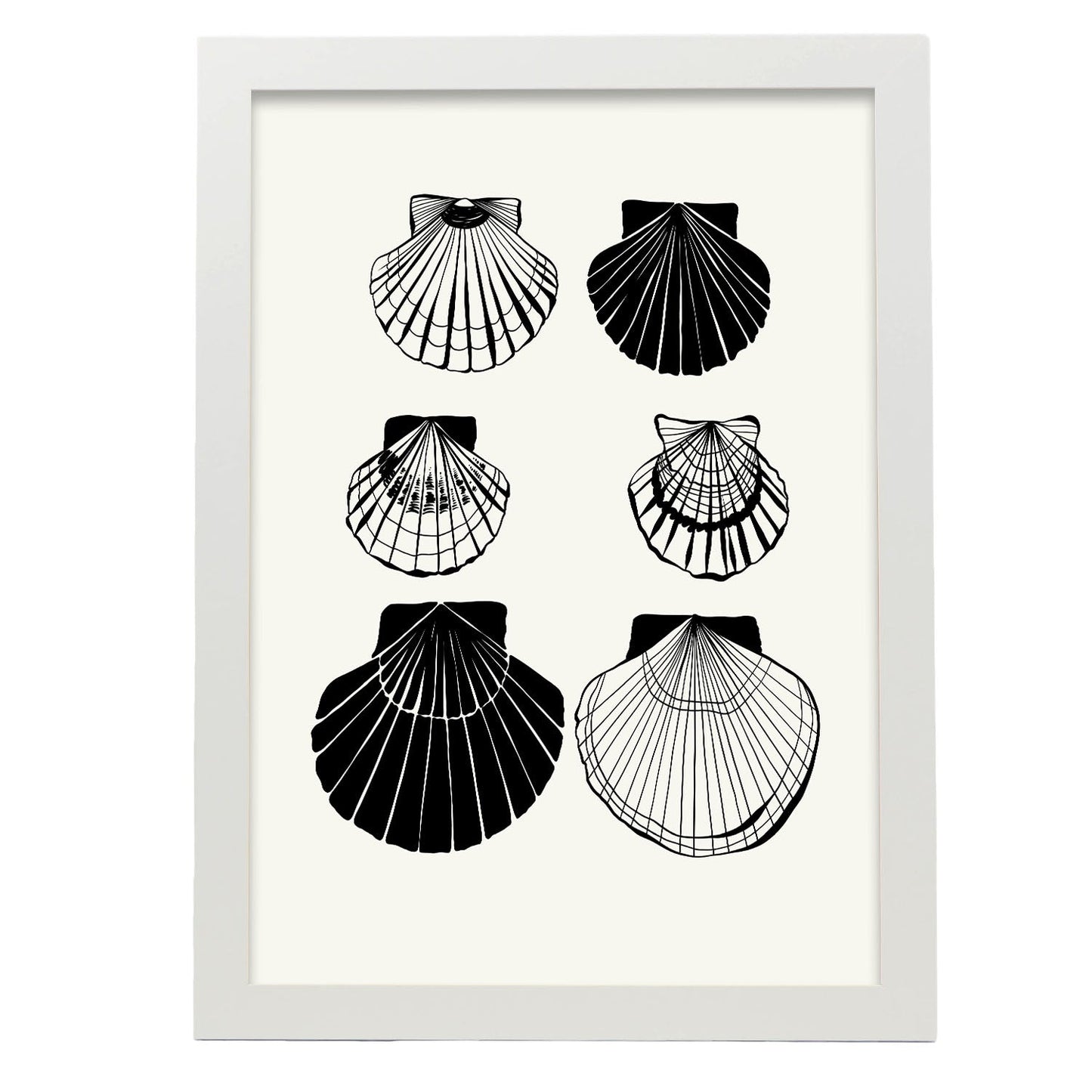 Calico Scallops-Artwork-Nacnic-A3-Marco Blanco-Nacnic Estudio SL