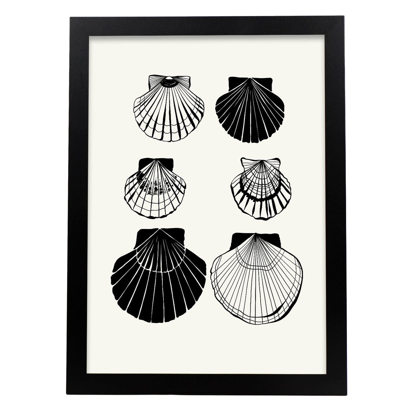 Calico Scallops-Artwork-Nacnic-A3-Sin marco-Nacnic Estudio SL