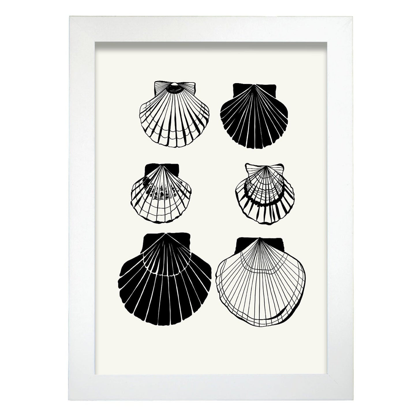 Calico Scallops-Artwork-Nacnic-A4-Marco Blanco-Nacnic Estudio SL