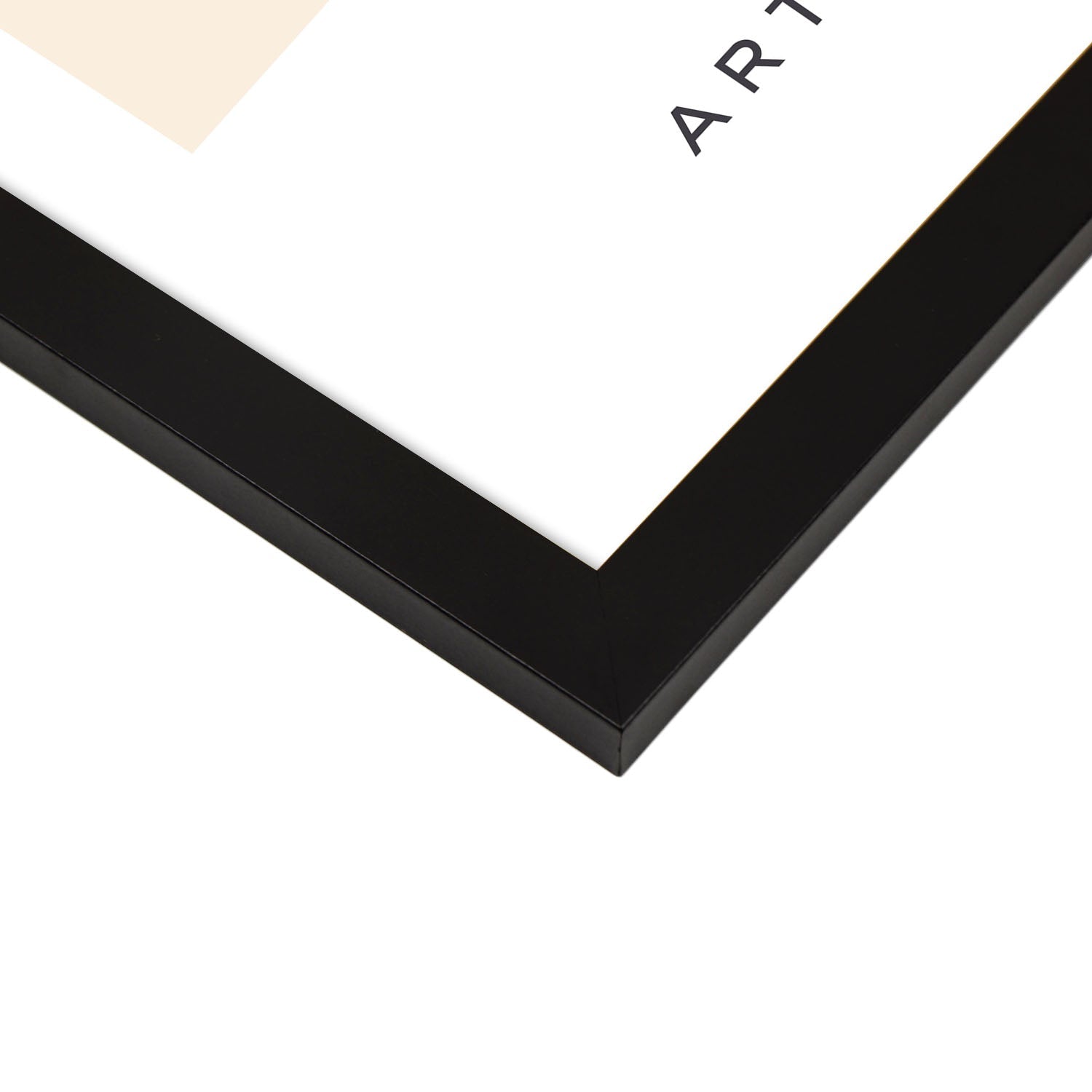 Camellia Flower-Artwork-Nacnic-Nacnic Estudio SL