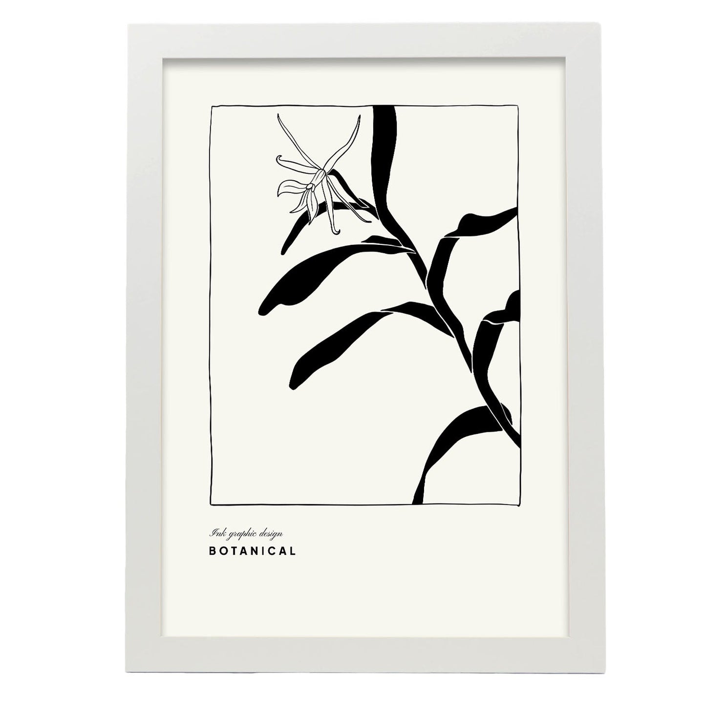 Cannna Plant-Artwork-Nacnic-A3-Marco Blanco-Nacnic Estudio SL