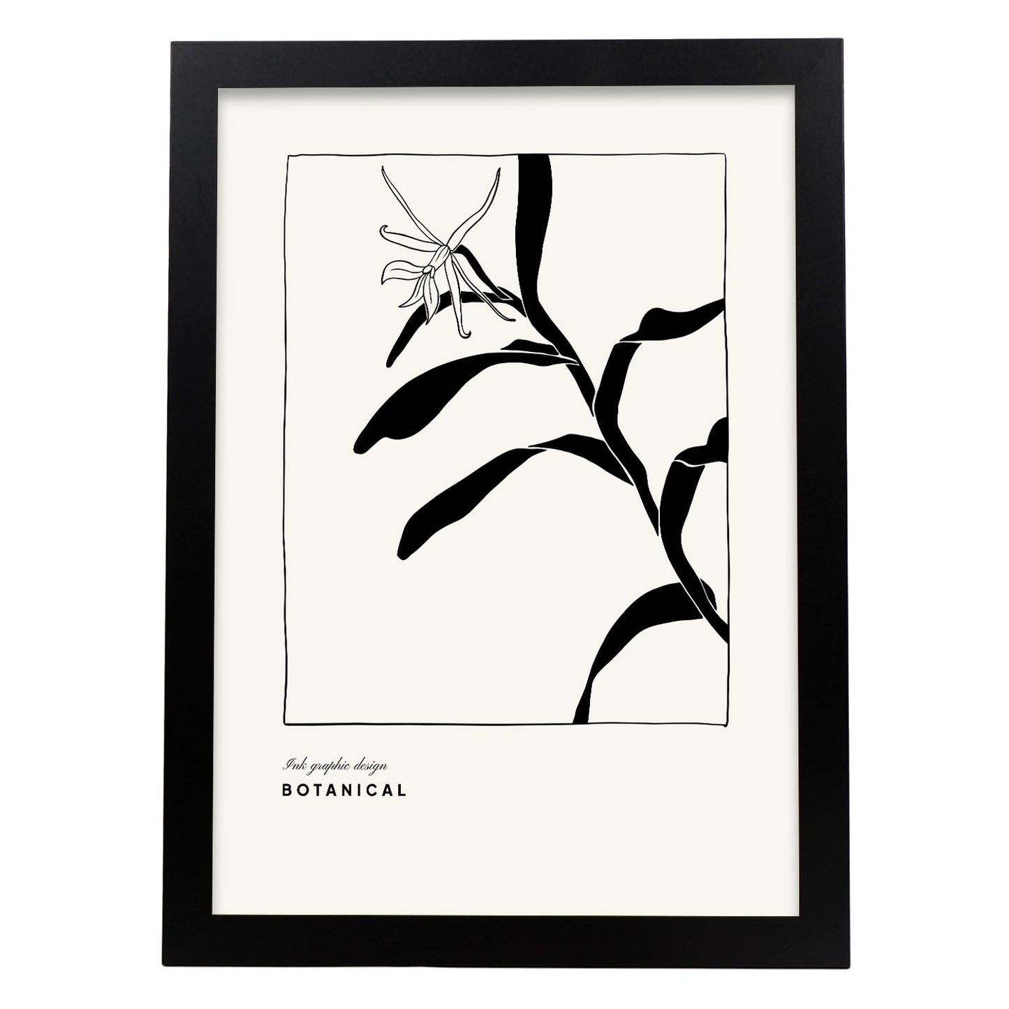 Cannna Plant-Artwork-Nacnic-A3-Sin marco-Nacnic Estudio SL