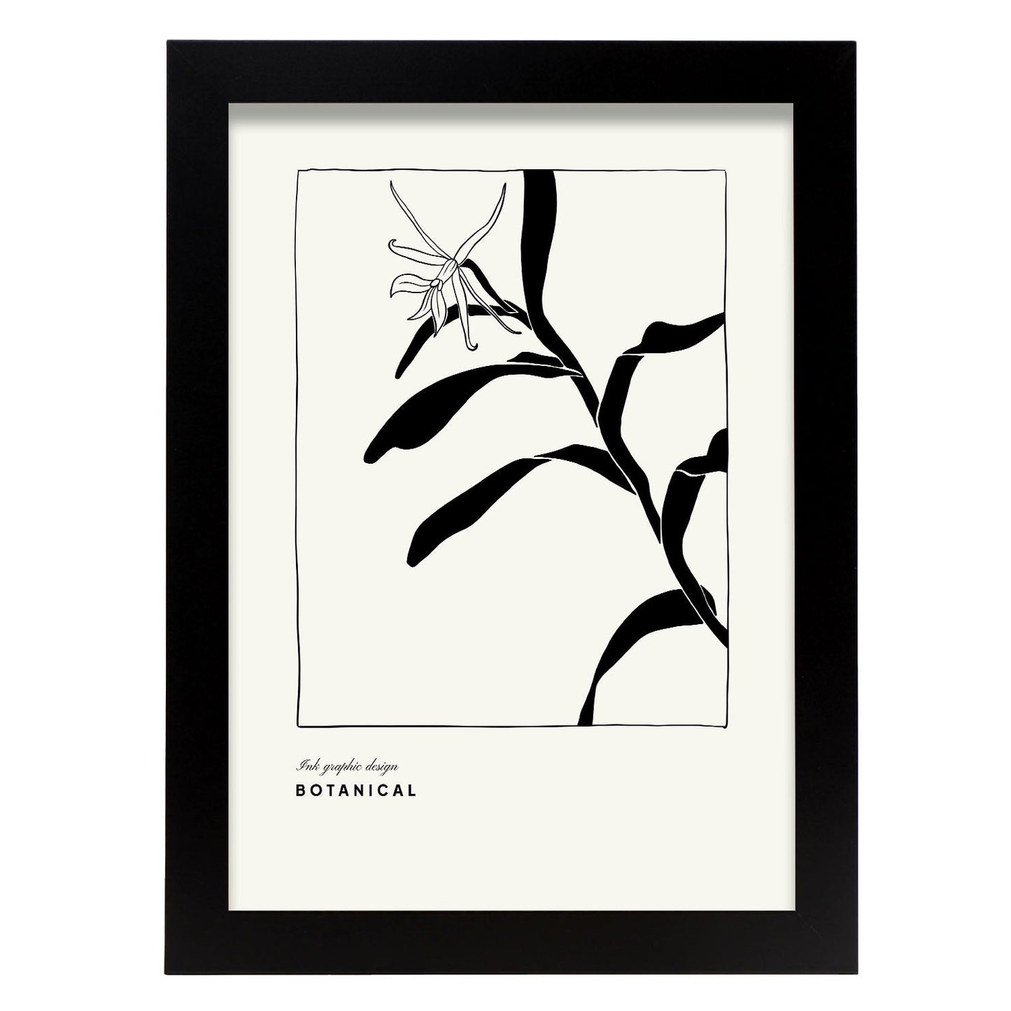 Cannna Plant-Artwork-Nacnic-A4-Sin marco-Nacnic Estudio SL