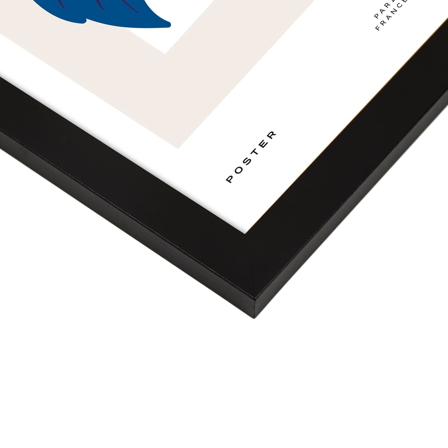 Carnation Flowers-Artwork-Nacnic-Nacnic Estudio SL