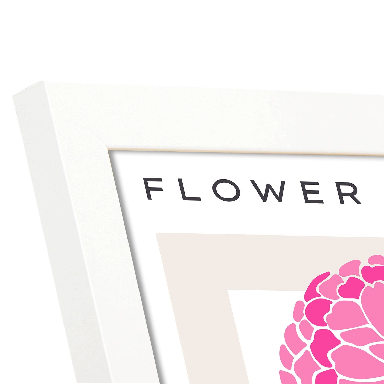 Carnation Flowers-Artwork-Nacnic-Nacnic Estudio SL