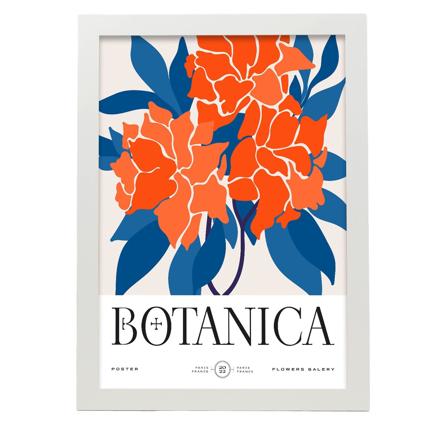 Carnations-Artwork-Nacnic-A3-Marco Blanco-Nacnic Estudio SL