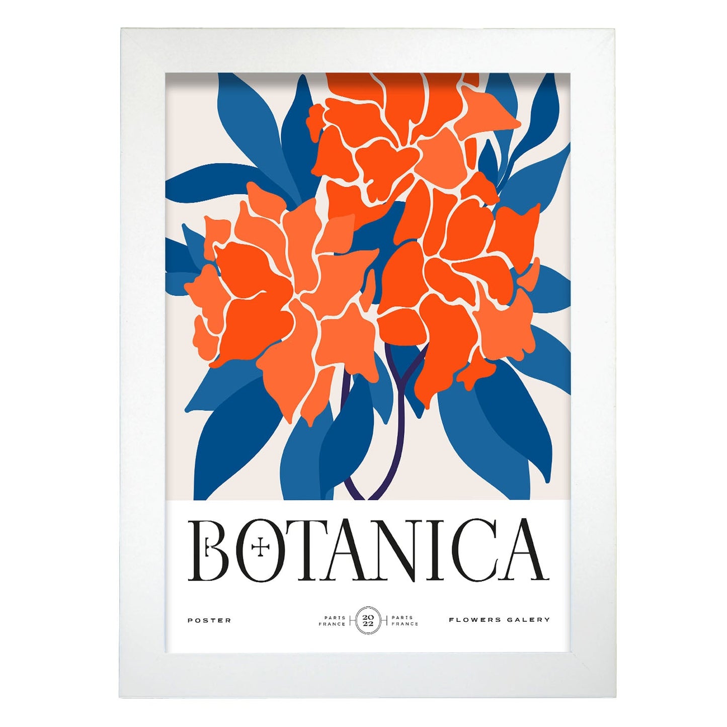 Carnations-Artwork-Nacnic-A4-Marco Blanco-Nacnic Estudio SL