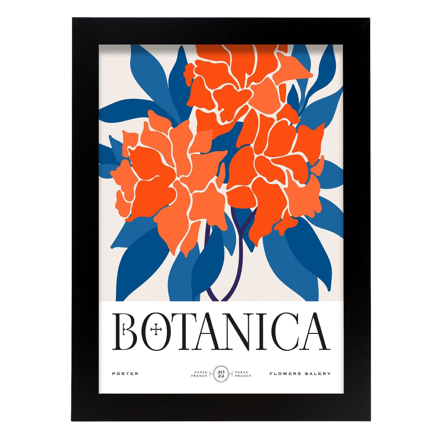 Carnations-Artwork-Nacnic-A4-Sin marco-Nacnic Estudio SL