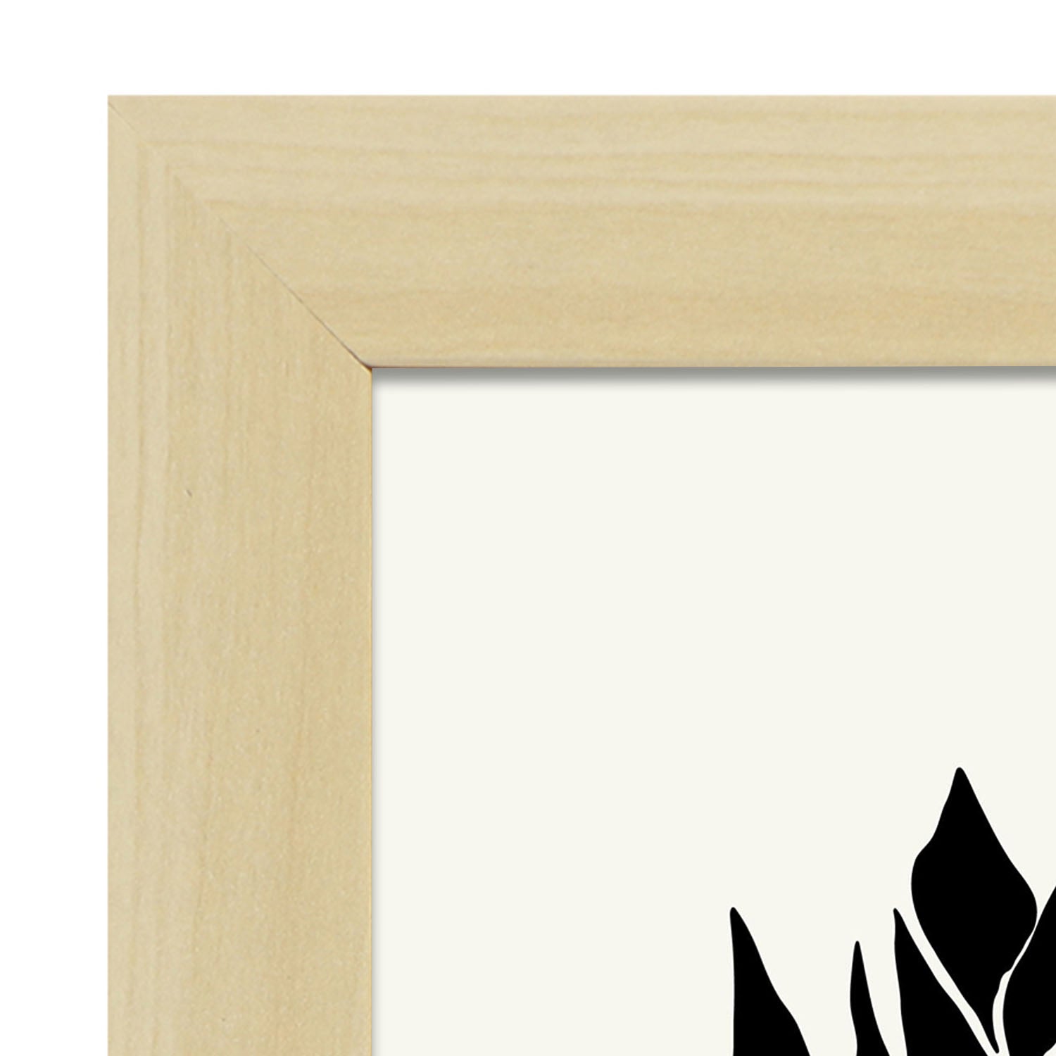 Closeup Succulents-Artwork-Nacnic-Nacnic Estudio SL