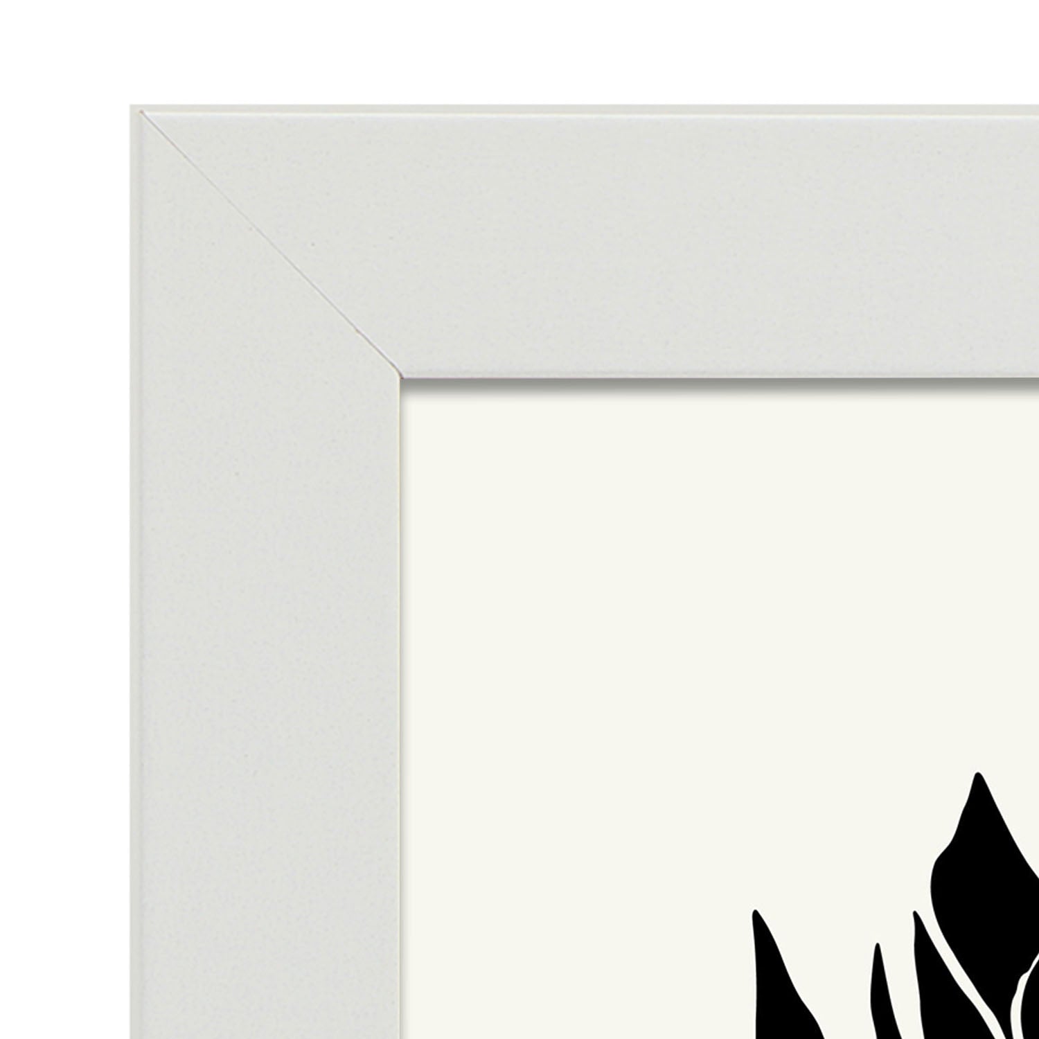 Closeup Succulents-Artwork-Nacnic-Nacnic Estudio SL