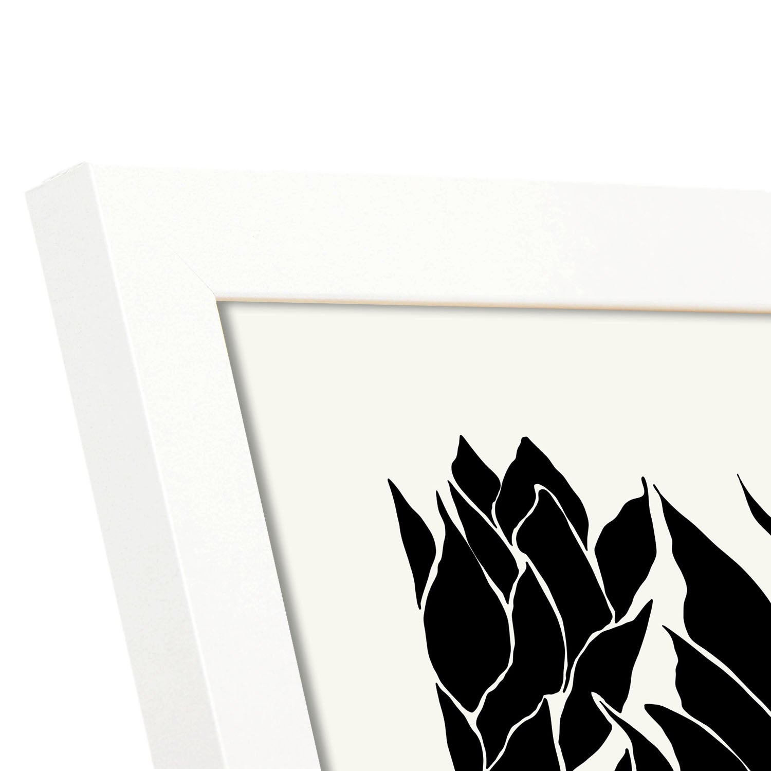 Closeup Succulents-Artwork-Nacnic-Nacnic Estudio SL