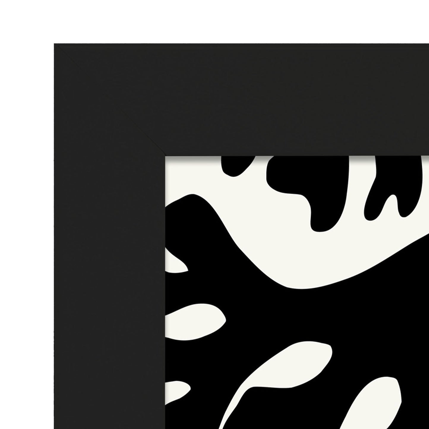 Codium Seaweed-Artwork-Nacnic-Nacnic Estudio SL