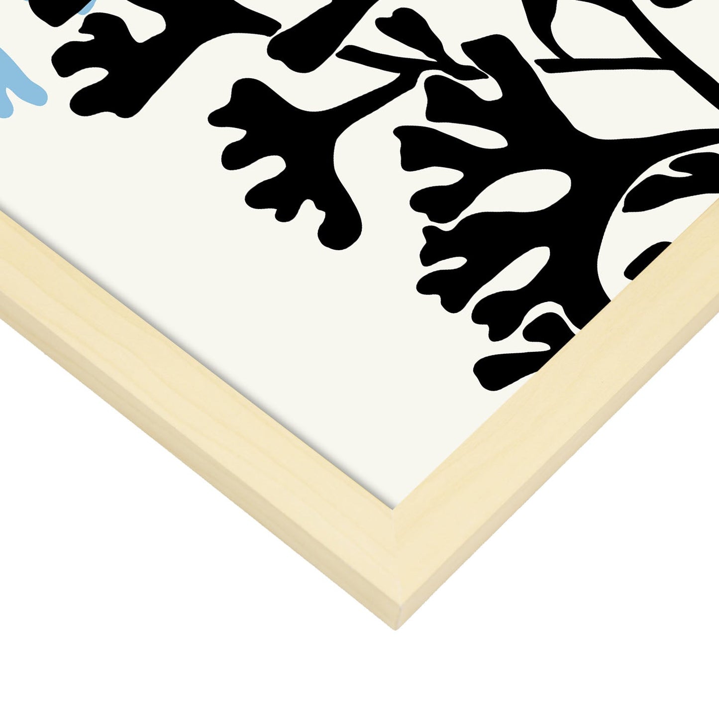 Codium Seaweed-Artwork-Nacnic-Nacnic Estudio SL