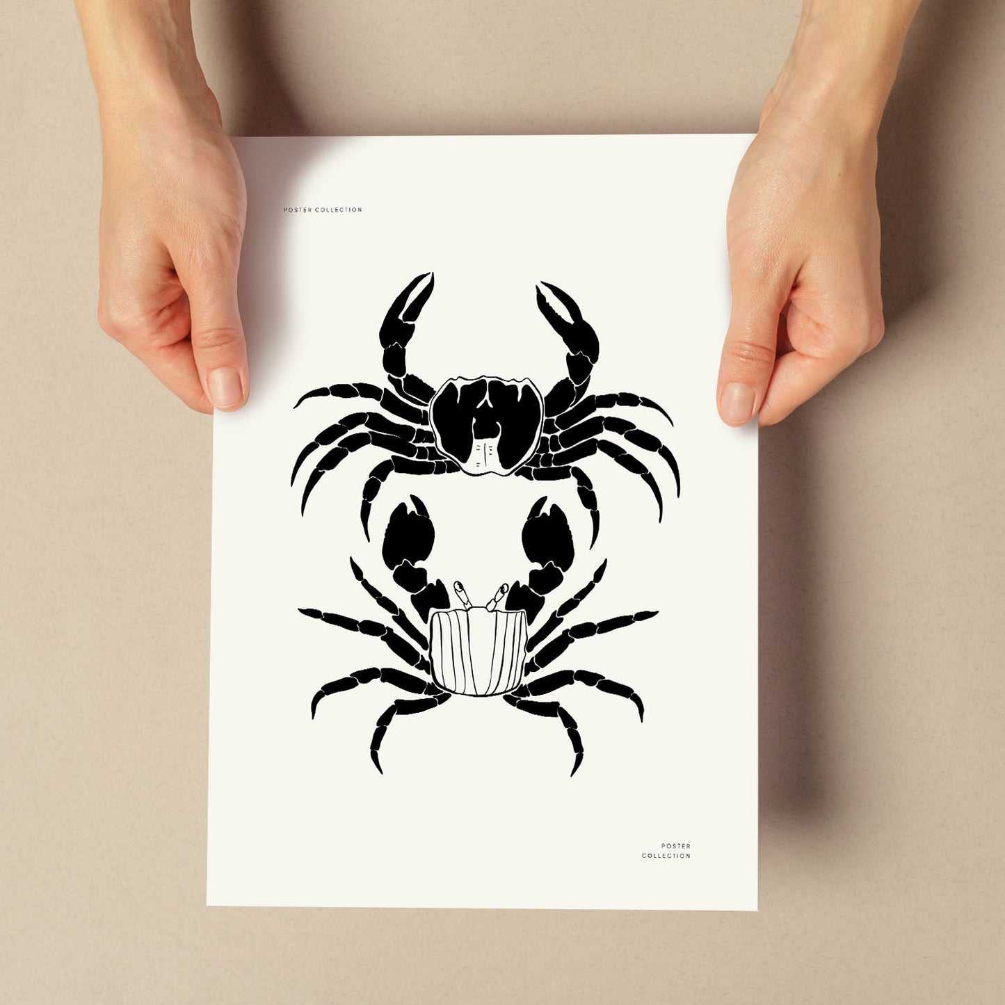 Crab-Artwork-Nacnic-Nacnic Estudio SL