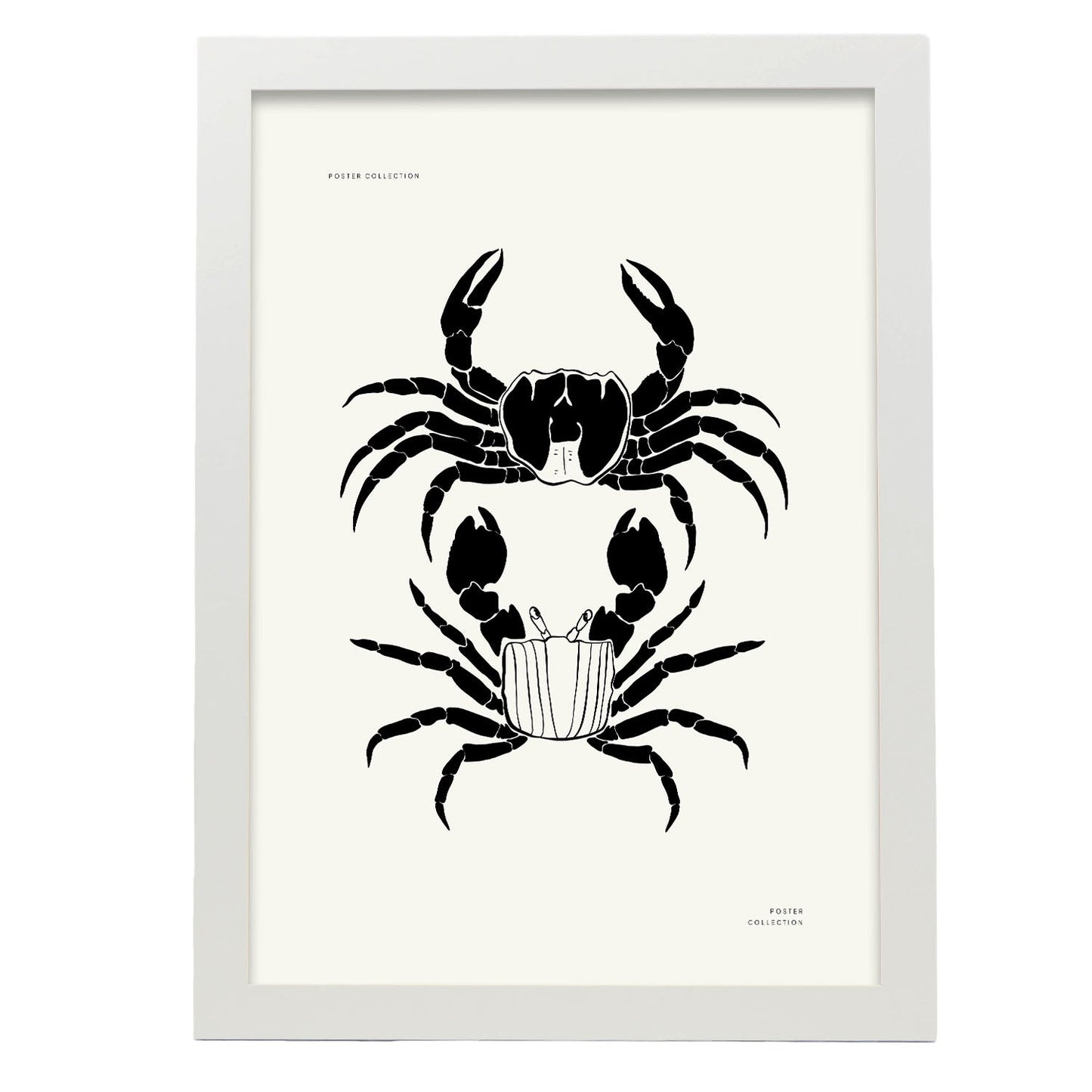 Crab-Artwork-Nacnic-A3-Marco Blanco-Nacnic Estudio SL