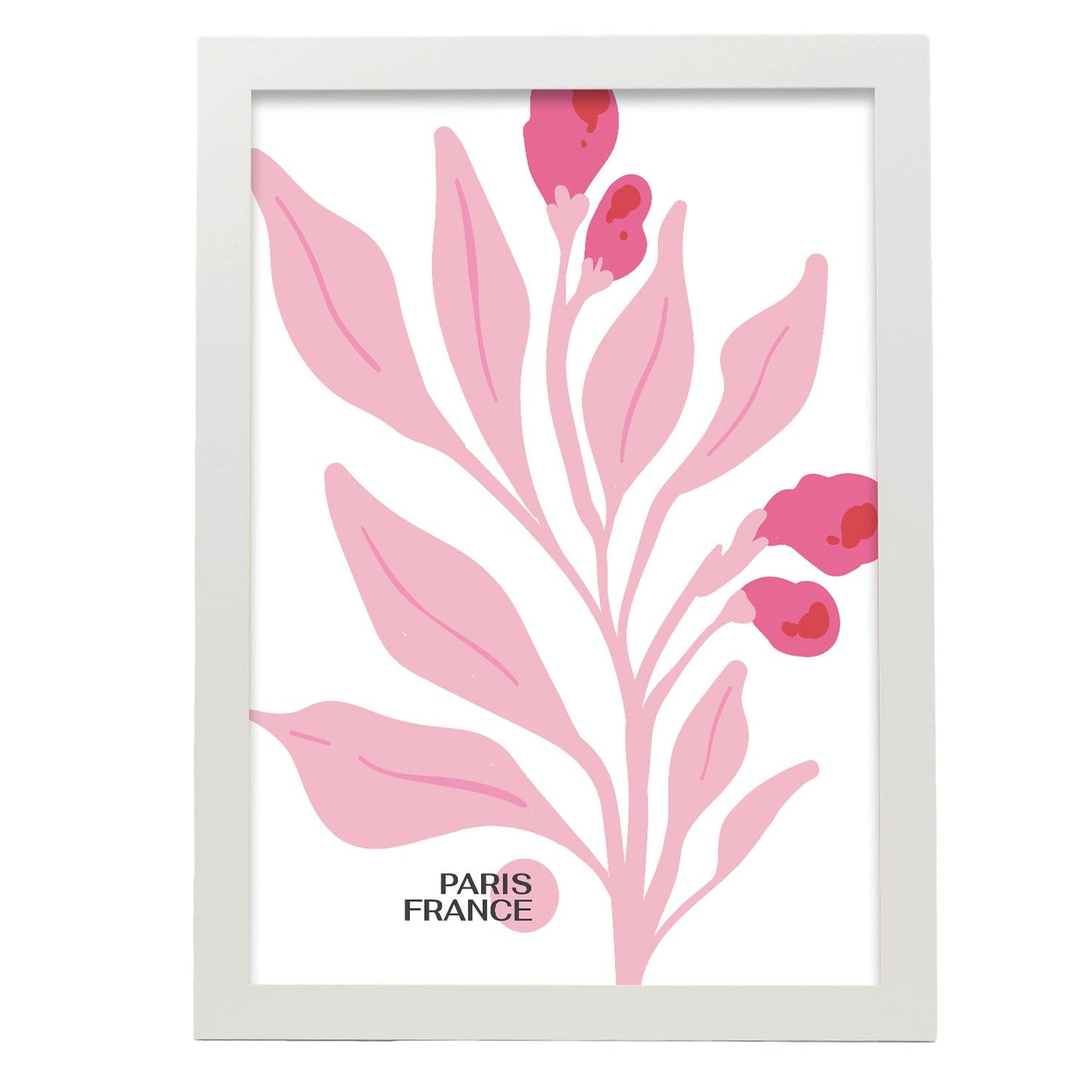 Cyclamen Flowers-Artwork-Nacnic-A3-Marco Blanco-Nacnic Estudio SL