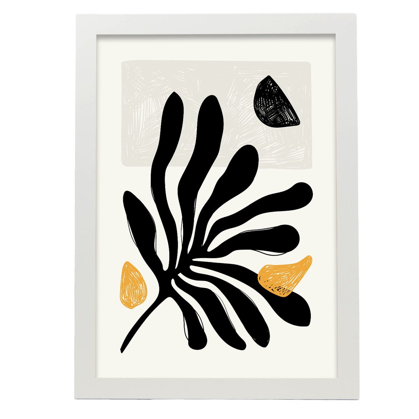 Delicate-Artwork-Nacnic-A3-Marco Blanco-Nacnic Estudio SL