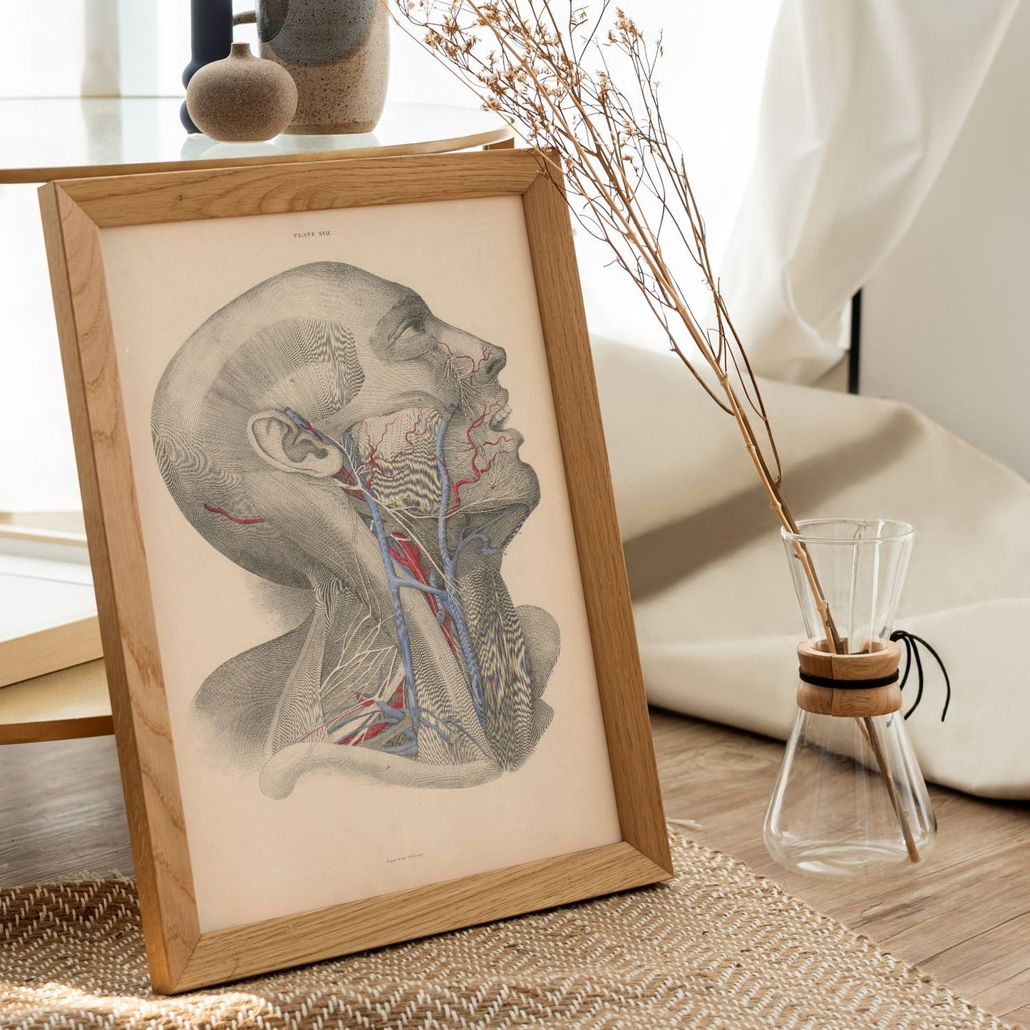 Dissection of face and neck-Artwork-Nacnic-Nacnic Estudio SL